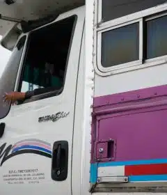 white and pink van during daytime