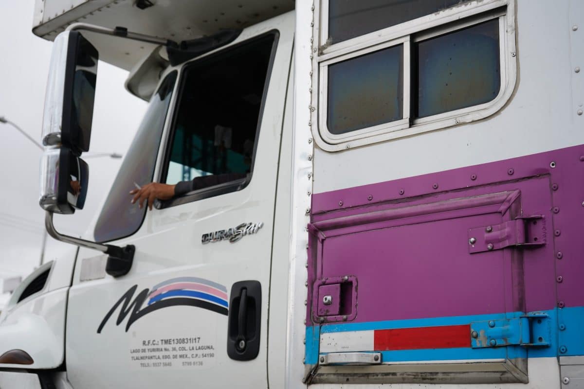 white and pink van during daytime