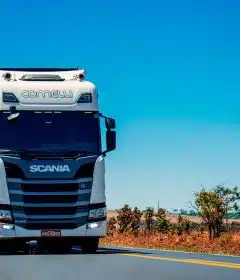 white truck on road during daytime